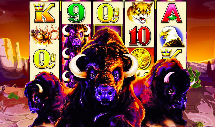buffalo gold slot machine for sale